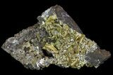 Sandwich Wulfenite Crystal Cluster - Ojuela Mine, Mexico #103469-1